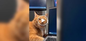 Состояние на работе после праздничных выходных