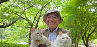 Японский дедушка завирусился в соцсетях благодаря своим кошкам (10 фото)