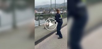 German police caught a swan that ran onto the highway