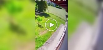 Самолет с туристами рухнул во Французских Альпах