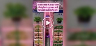 Ферма майбутнього в Китаї