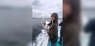 Девушка лишилась своего телефона, когда кормила птиц