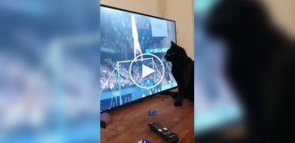 Black cat synchronized athlete's fall at the Olympics