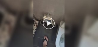 A bold design solution in the toilet