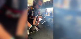 Как заводятся разные гоночные машины