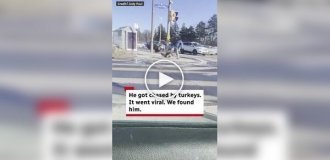 Чтобы спастись от нападения индеек, мужчине пришлось укрыться в чужой машине