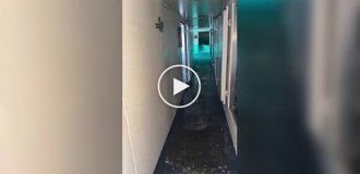 Турист прогулявся по коридору судна, що тоне.