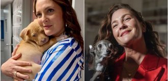 Drew Barrymore admitted that she couldn't imagine life without her 9 pets (7 photos + 1 video)