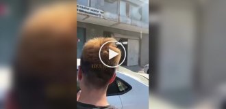 Воробей обосновался на голове китайца и отказался уходить