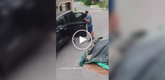 Молния ударила в забор в паре метров от мужчины с детьми