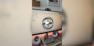 Кошачья слот-машина