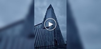 Гарне та дивовижне (короткі відео). Випуск 65