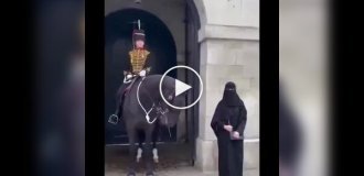 Horse did not want to take a photo with a woman in a burqa