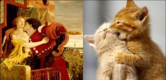 Cats and Fine Art (22 photos)