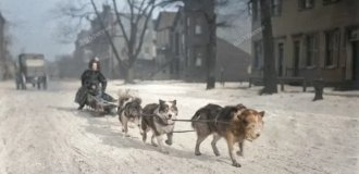 Вінегрет історичних кадрів минулих років. Випуск 198