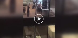 Рабочее место сотрудника BBC News