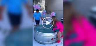 Самый безумный вариант гендер-пати показали блогеры из США