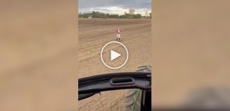 Самая милая доставка обеда