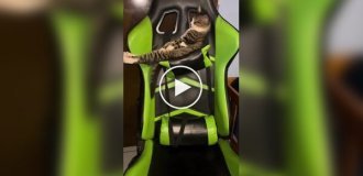 Купив собі ігрове крісло