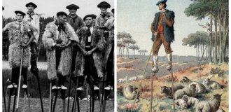 Люди на ходулях: як пастухи з французьких Ланд обдурили болота та увійшли до історії (18 фото)