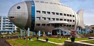 Дом-рыба в Индии (5 фото)