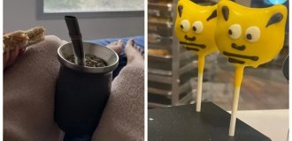 20 моментів, що демонструють жарти реальності (21 фото)