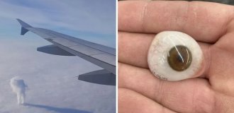 20 фотографий, которые доказывают, что мир вокруг нас полон загадок (21 фото)