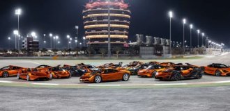 A collection of 20 unique McLarens was put up for sale (17 photos)