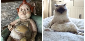 30 милых странностей из реальной жизни, которые намного интереснее мемов (31 фото)