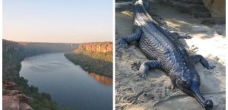 The Curse of the Beautiful and Dangerous Chambal River (7 photos + 1 video)