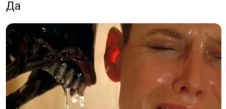 Подборка забавных твитов обо всем. Выпуск 788 (33 картинок)