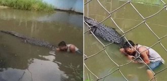 Турист принял живого крокодила за муляж и оказался в его пасти (7 фото + 1 видео)