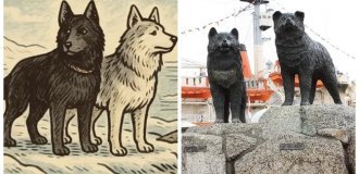 Антарктическая одиссея двух хаски: как  Таро и  Дзиро победили Антарктиду (13 фото)