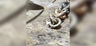 Как из золота делают цепочки: весь процесс от слитка до украшения