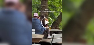 Странные видео (короткие видео). Выпуск 28