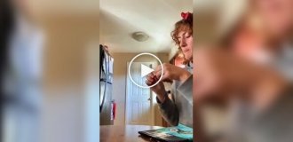 Рыжие пушистые воришки