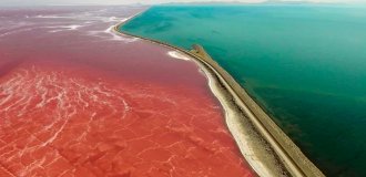 Синьо-червоне озеро: чому частини Великого Солоного озера різнокольорові? (3 фото)