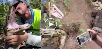 Опасная находка: в США охотники нашли 120 яиц питонов