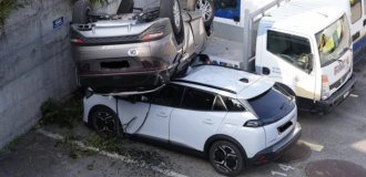 Поспішав встигнути, щоб не запізнитися⁠⁠ (11 фото + 1 відео)