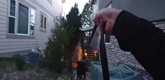Рекс нашёл пропавшую девочку всего за 12 минут (2 фото + 1 видео)