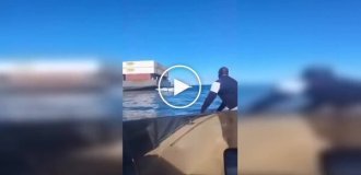 Грузовое судно село на мель, и местные бросились «спасать» товар