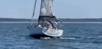Стая косаток потопила яхту у берегов Португалии (3 фото + 1 видео)