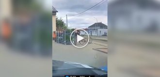 Не стоило трогать эту тележку