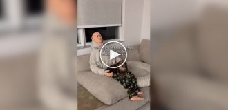 Собака боялась оставаться дома одна. На помощь пришел манекен в одежде хозяина