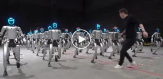 Современные роботы близки к уровню развития десятилетнего ребенка