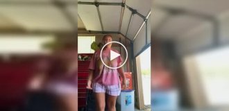 Танець для TikTok зірвався