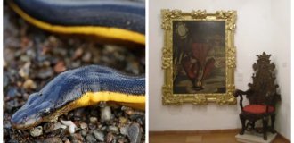 От недовольного  воскресшего до обезболивающих скатов: 8 исторических фактов,  в которые трудно поверить, но они правдивы (9 фото)