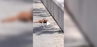 Допоміг другові як мог