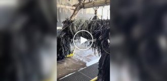 Мужчина с рулоном проволоки парализовал автомойку