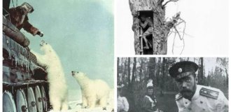 30 исторических фактов и событий, о которых редко говорят (31 фото)